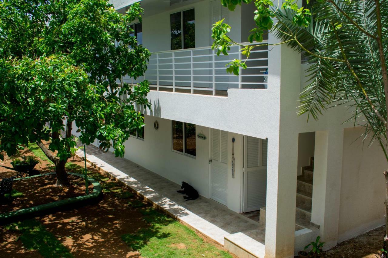 Zaboka Sai Bed & Breakfast San Andrés Eksteriør bilde